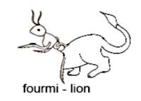 fourmi-lion