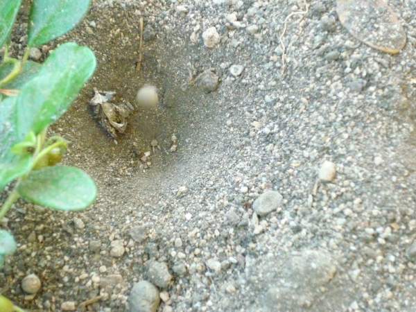 photo2
